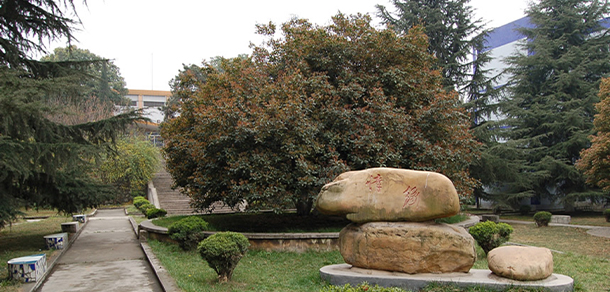 我的大學(xué)-大學(xué)志