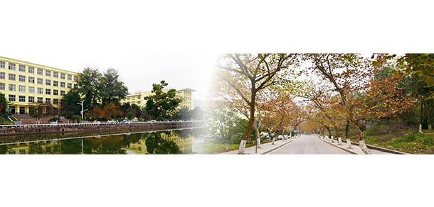我的大學(xué)-大學(xué)志