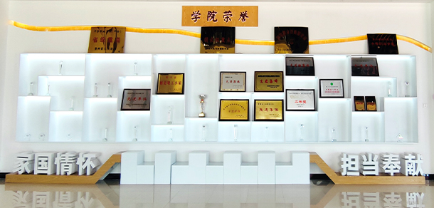 我的大學(xué)-大學(xué)志