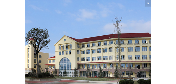 我的大學(xué)-大學(xué)志