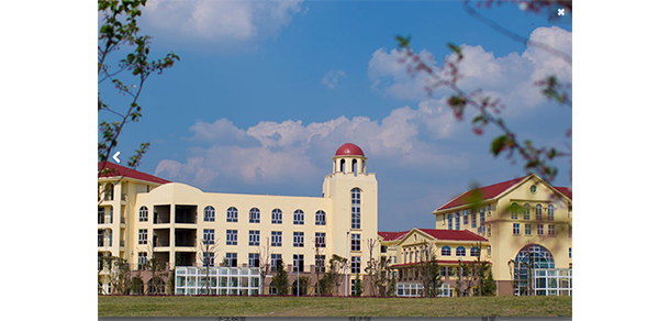 我的大學(xué)-大學(xué)志