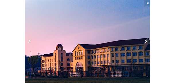 我的大學(xué)-大學(xué)志