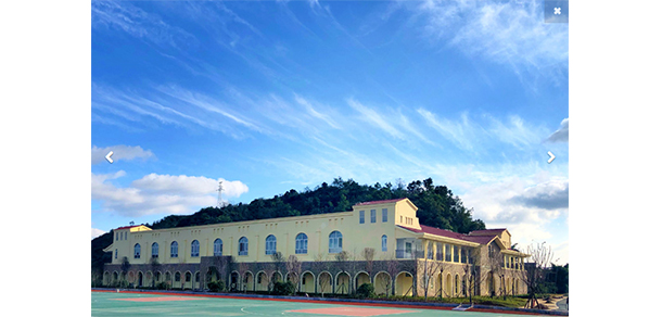 我的大學(xué)-大學(xué)志
