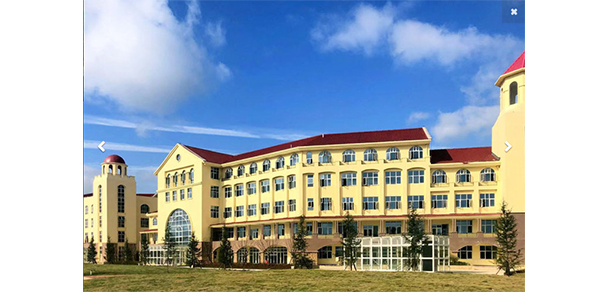 我的大學(xué)-大學(xué)志