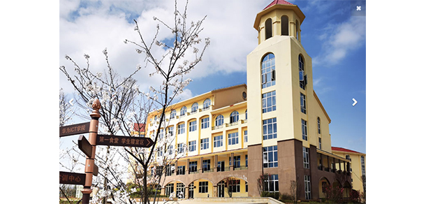 我的大學(xué)-大學(xué)志