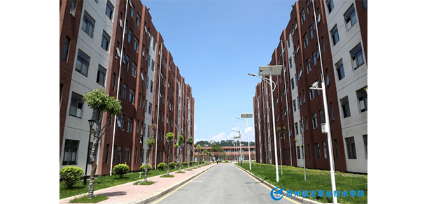我的大學(xué)-大學(xué)志