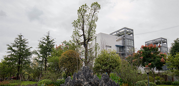 我的大學(xué)-大學(xué)志