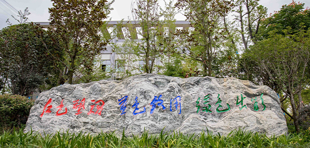我的大學(xué)-大學(xué)志