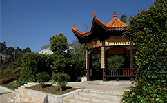 文化標(biāo)識(shí)：校名題寫 / 校徽設(shè)計(jì)
