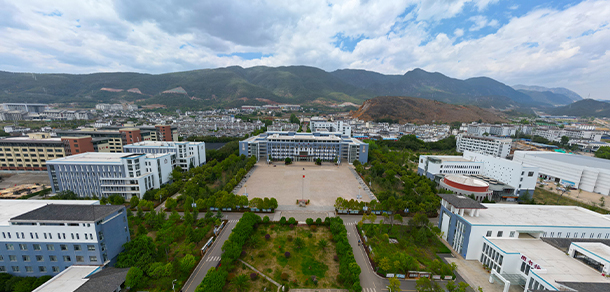 大學(xué)校志：校名、校標(biāo)、校訓(xùn)、校徽、校旗、校歌