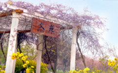 歷史沿革（概）校史