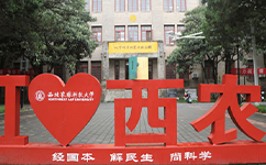 2025年強基計劃招生簡章