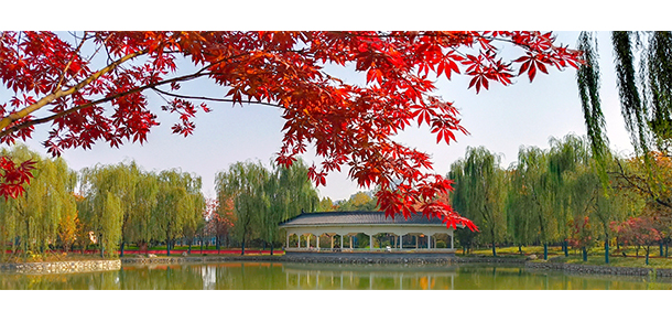 我的大學-大學志