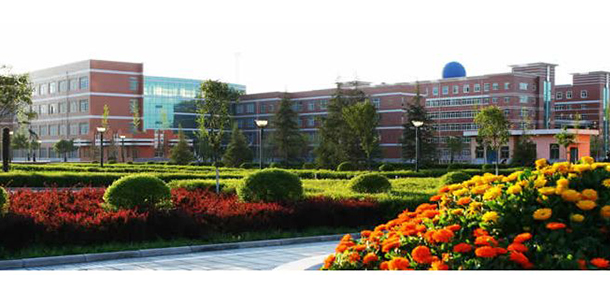 我的大學-大學志