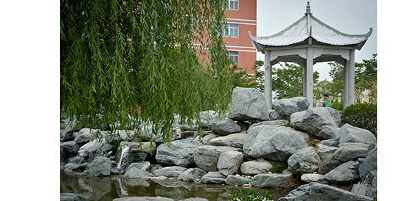 我的大學-大學志