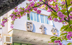 2025年強基計劃招生簡章