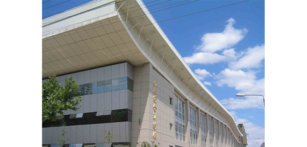 我的大學-大學志