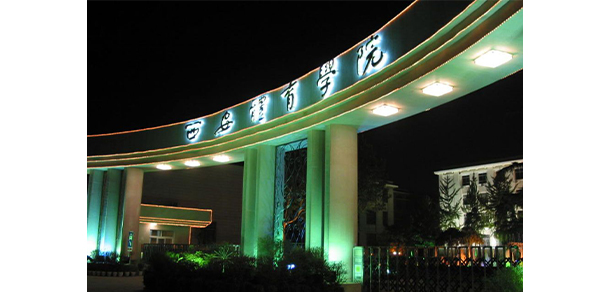 我的大學-大學志