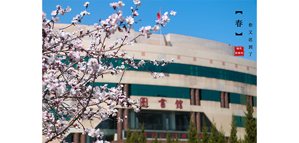 我的大學(xué)-大學(xué)志