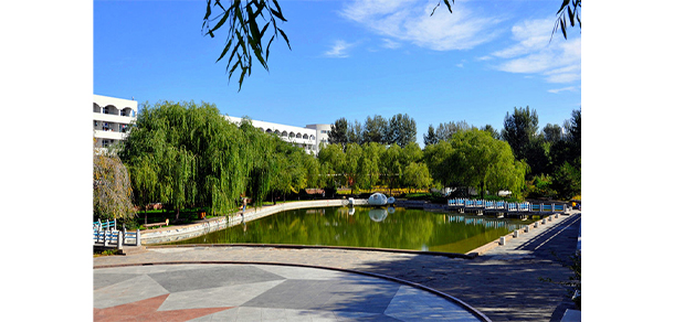 我的大學(xué)-大學(xué)志