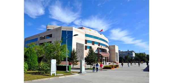 我的大學(xué)-大學(xué)志