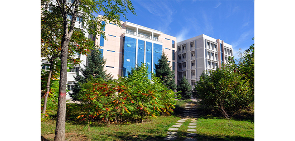 我的大學(xué)-大學(xué)志