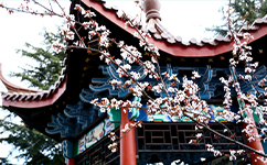 文化標(biāo)識(shí)：校名題寫 / ?；赵O(shè)計(jì)