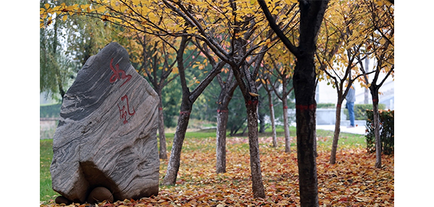 我的大學(xué)-大學(xué)志