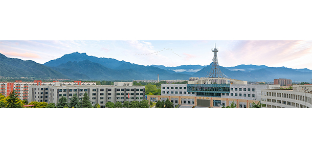 我的大學(xué)-大學(xué)志