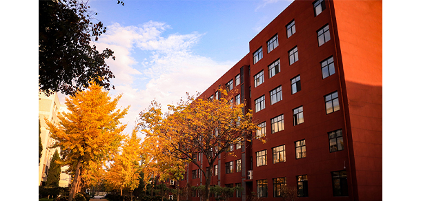 我的大學(xué)-大學(xué)志