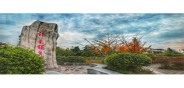 我的大學-大學志