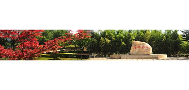 我的大學-大學志
