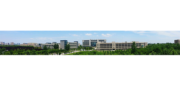 我的大學(xué)-大學(xué)志