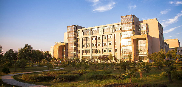 我的大學(xué)-大學(xué)志