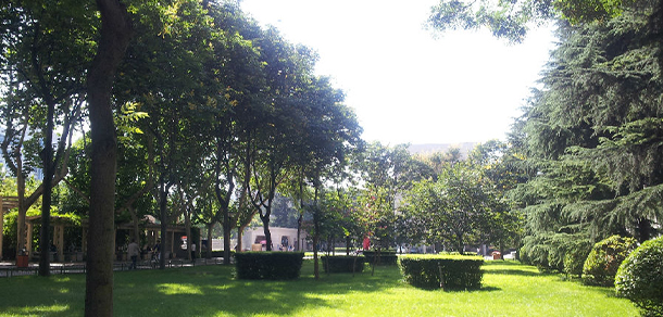我的大學(xué)-大學(xué)志