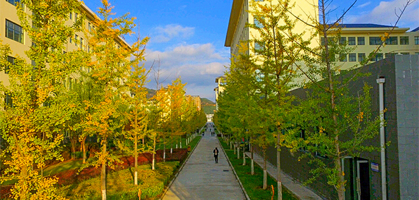 延安職業(yè)技術(shù)學(xué)院 - 最美大學(xué)