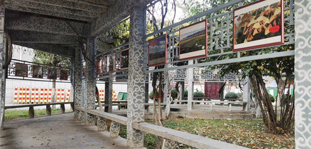 我的大學(xué)-大學(xué)志