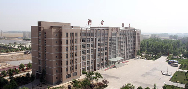 我的大學(xué)-大學(xué)志