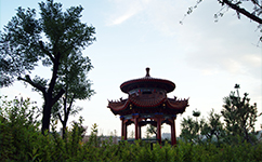 歷史沿革(概)校史