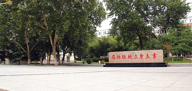 我的大學(xué)-大學(xué)志
