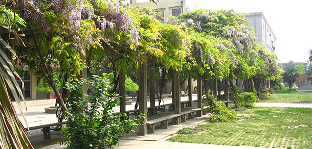 陜西國(guó)防工業(yè)職業(yè)技術(shù)學(xué)院 - 最美大學(xué)