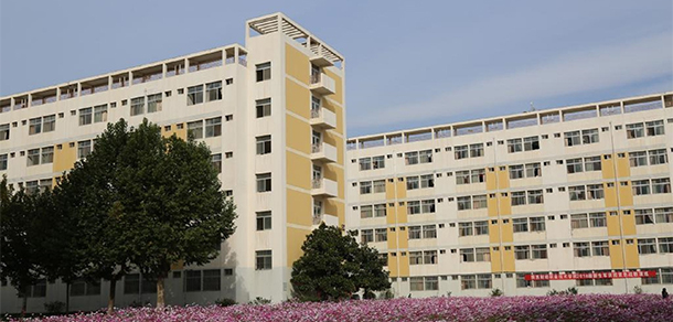 我的大學-大學志