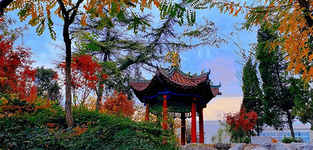 我的大學-大學志