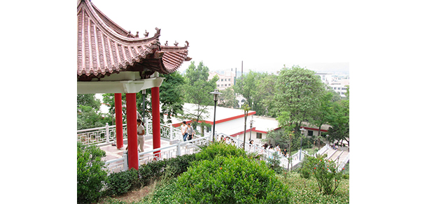我的大學(xué)-大學(xué)志