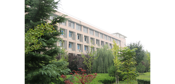 我的大學(xué)-大學(xué)志