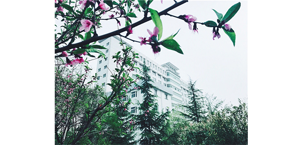 蘭州博文科技學院 - 最美大學