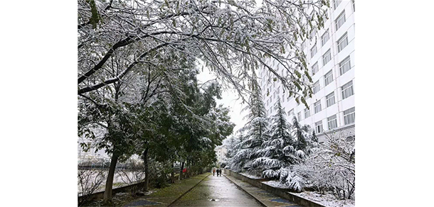 蘭州博文科技學院 - 最美大學