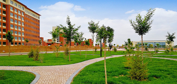 我的大學(xué)-大學(xué)志