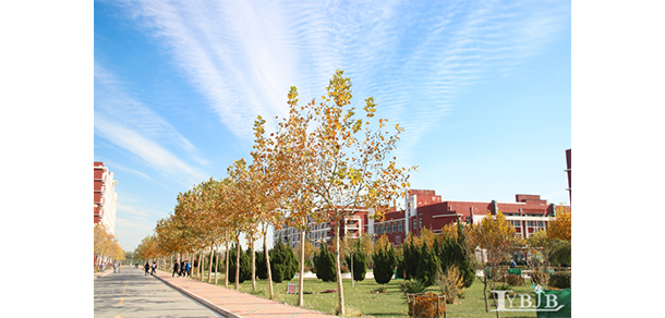 天津醫(yī)科大學臨床醫(yī)學院 - 最美大學