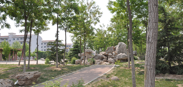 南開(kāi)大學(xué)濱海學(xué)院 - 最美大學(xué)